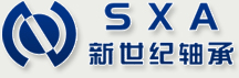 宁波市新世纪轴承有限公司